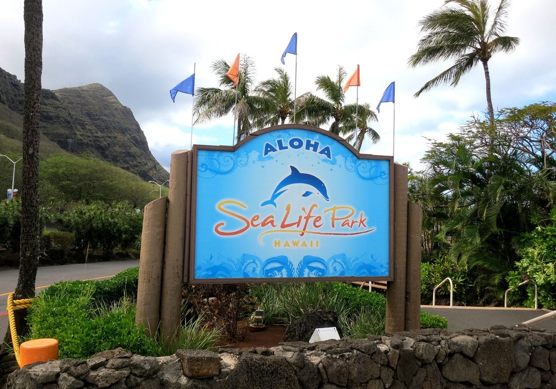 Sea Life Park Private Tours Hawaii Personalized